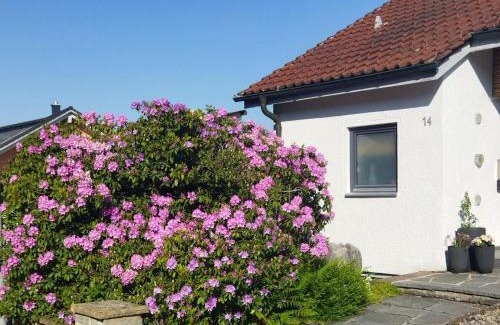 Reichenhofen Apartment | Ferienwohnung Hochgratblick