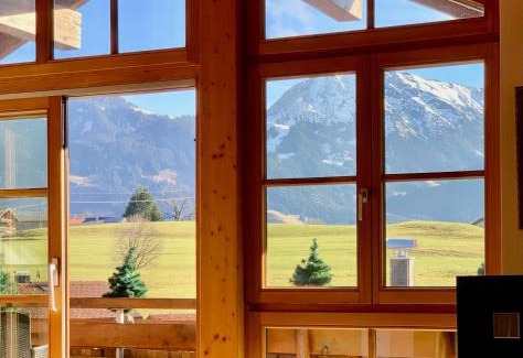 Obermaiselstein Apartment | Ferienwohnung Edelweiß mit Bergbahn unlimited