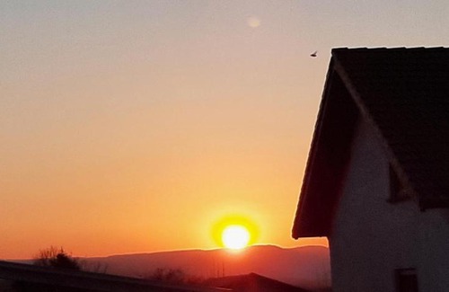 Andernach Apartment | Ferienwohnung Gutowski