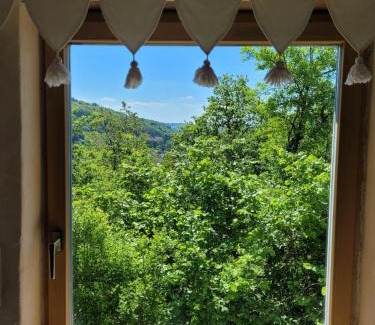 Nonnweiler Apartment | Ferienwohnung im Haus Waldblick