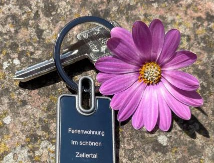 Wachenheim Apartment | Ferienwohnung im schönen Zellertal, mit 22 kw Wallbox