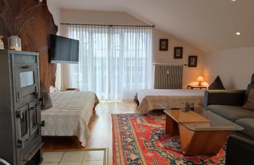 Staig Apartment | Ferienwohnung Imberger Horn - Sonthofen