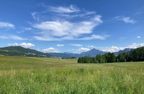 Tiefgraben Apartment | Ferienwohnung Mondsee-Irrsee