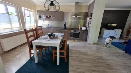 Halbs Apartment | Ferienwohnung Ollywood, Natur pur im Westerwald, 2 bis 4 Personen