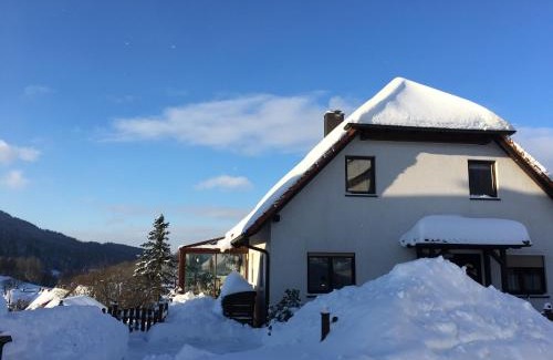 Goldlauter Apartment | Ferienwohnung Rennsteigblick
