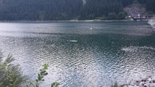 Gerlosberg Apartment | Ferienwohnung Tobias