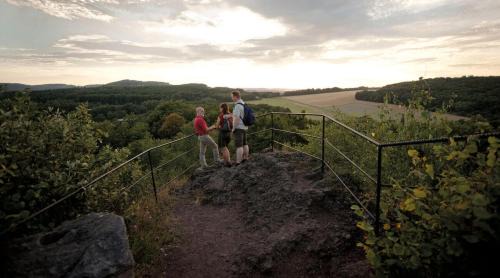 Andernach Apartment | Ferienwohnung Unterm Nastberg