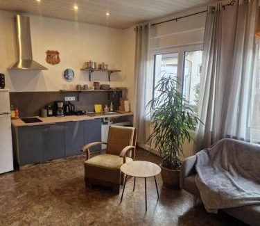 Muenchberg Apartment | Ferienwohnung Wunderlich gelb