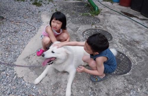 Bongpyeong House | Fermata Pension