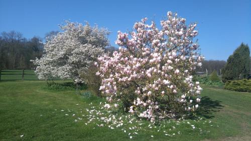 Montroty Bed & Breakfast | Ferme de la Haye