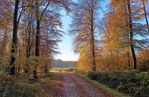 Montroty Bed & Breakfast | Ferme de la Haye