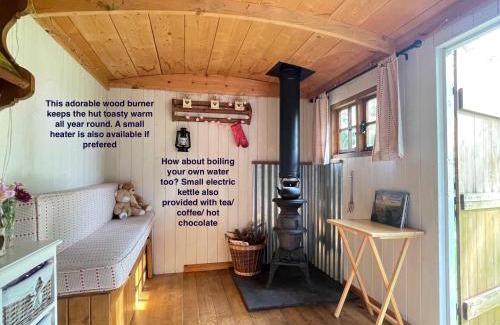 New Forest District Bed & Breakfast | Fernwood