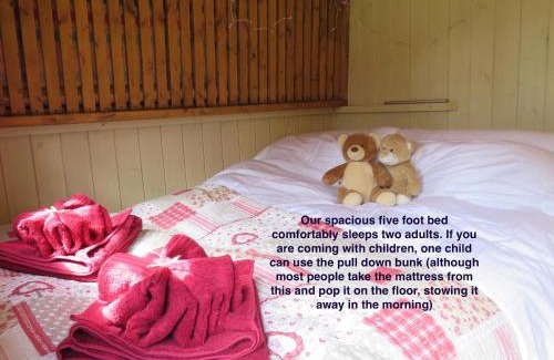 New Forest District Bed & Breakfast | Fernwood