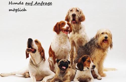 Immenstadt im Allgaeu Apartment | Fewo Gabriela Allgäu