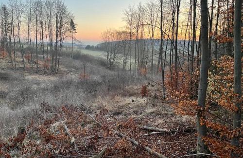 Bad Arolsen Apartment | FeWo Landzeit