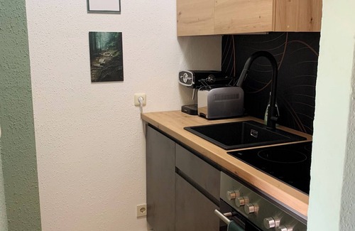 Oberreute Apartment | FewoBergblick 6Pers Balkon Garten Hund Ski nähe Buchenegger Wasserfälle Eistobel