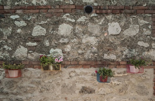 Bollano Apartment | Ficonovo is Your Agritourism With Pool