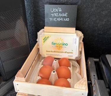 Ziano di Fiemme Bed & Breakfast | Fiemme in Vista