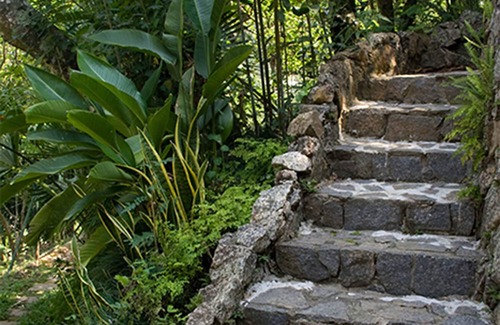 Araras House | Fifty59: Accommodations De Charme Studio Sabiá