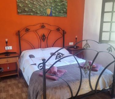 Icod de los Vinos House | Finca Aurora Ecorural