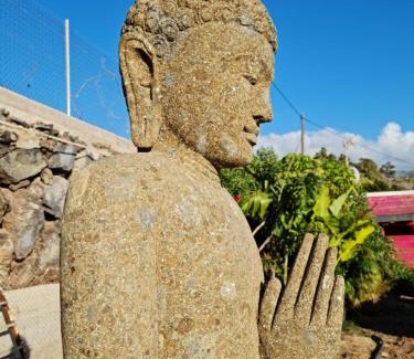 Guia de Isora House | FINCA BEROLO 1