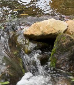 Rivera House | Finca Casa Mercedes rivera