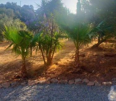 Riogordo Bed & Breakfast | Finca Corazonada