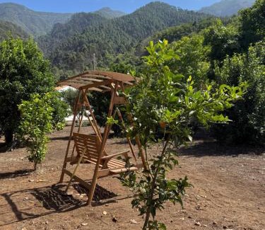 La Orotava Ski Chalet | Finca de la Montaña - Cabaña