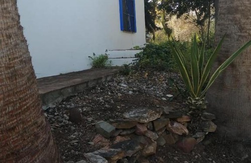 Zalea House | Finca Ecológica La Vegueta