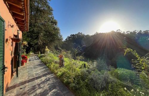 Firgas Villa | Finca El Lance Zumacal