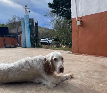 Galdar House | Finca el Lomo