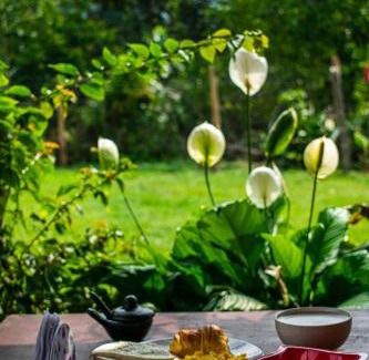 San Carlos Hotel | Finca Hotel Betel