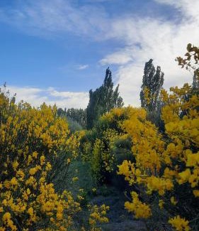 San Rafael House | Finca La Calma