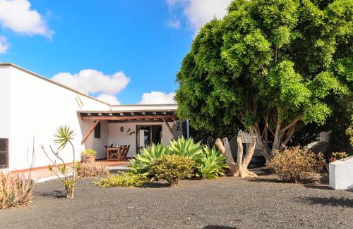 Tao Villa | Finca La Rubina