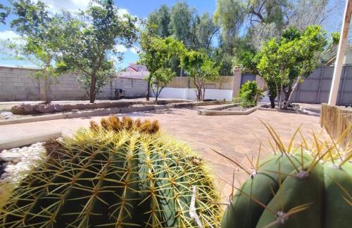 Molina de Segura House | Finca La Senorita