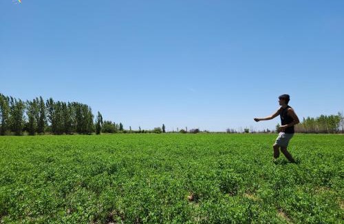 Mendoza Wine Region House | Finca Laurel
