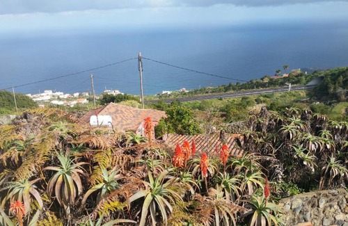 Icod de los Vinos House | Finca Lomo de Castillo - Kleines Schlösschen am Berg