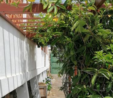 Brena Baja House | Finca Los Álamos