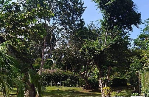 Dagua House | Finca los Abuelos