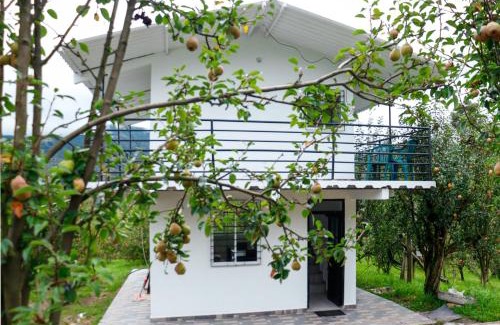 Jenesano House | Finca Peradise - Nuevo Colón