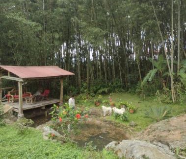 Sasaima House | Finca Santa Marta, descanso y naturaleza en Albán Cundinamarca