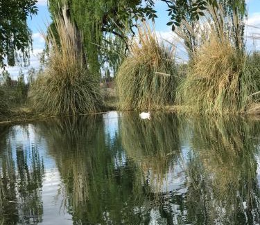 San Rafael Cabin | Finca Silvestre