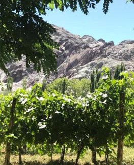 Barreal Ski Chalet | FINCA TIERRA CALMA Casa 2