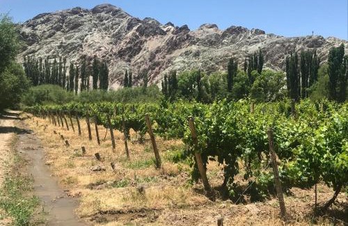 Barreal Ski Chalet | FINCA TIERRA CALMA Casa 2