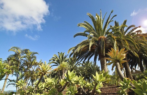 Las Arenas House | Finca Tocama