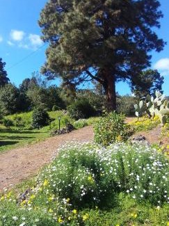 Icod de los Vinos Ski Chalet | Finca Verode