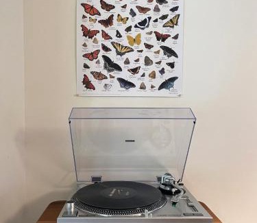 Yulan House | Fire Pit Woodsy & Private - Cabin On Woods Road