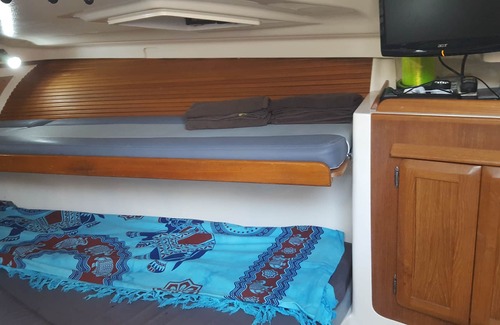 Las Galletas Boat Rental | Fishing Boat Rental Promenade in Paradise South of Tenerife