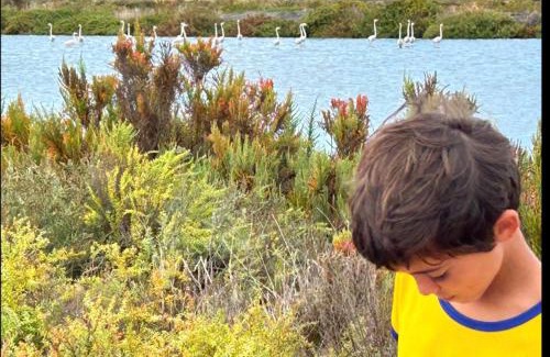 Gambia-Pontes-Alto da Guerra Hotel | Fishing resort eco nativo park