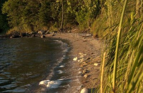 Sioux Narrows Nestor Falls Cottage | Five Bedroom Ultra-Deluxe Cottage - Sioux Narrows